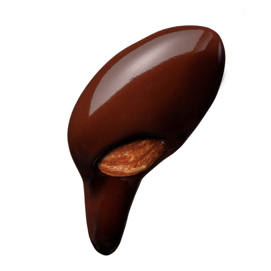 Dry Roasted Almonds with Dark Chocolate